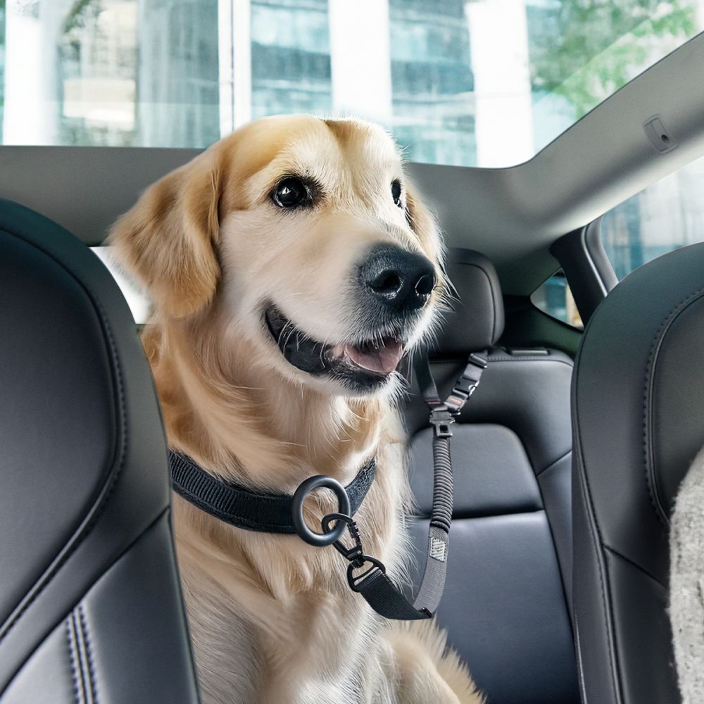 Spigen PS100 Universal Pet Seat Belt - Black_7