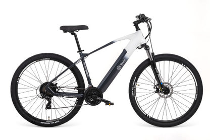 YOUIN YOU-RIDE EVEREST 29'' MTB - 14AH/36V LG - CAMBIO 21V - TALLA L_1