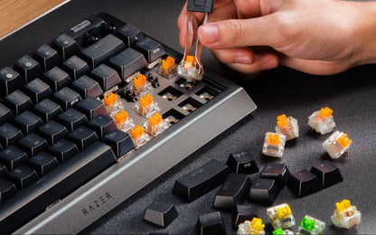 BlackWidow V4 75%, Gaming-Tastatur_2