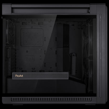 PA602 PROART CASE_6