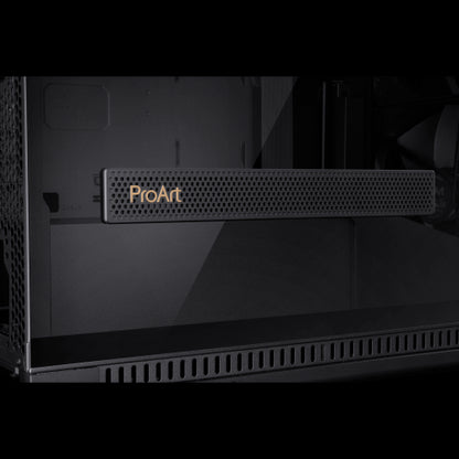 PA602 PROART CASE_13
