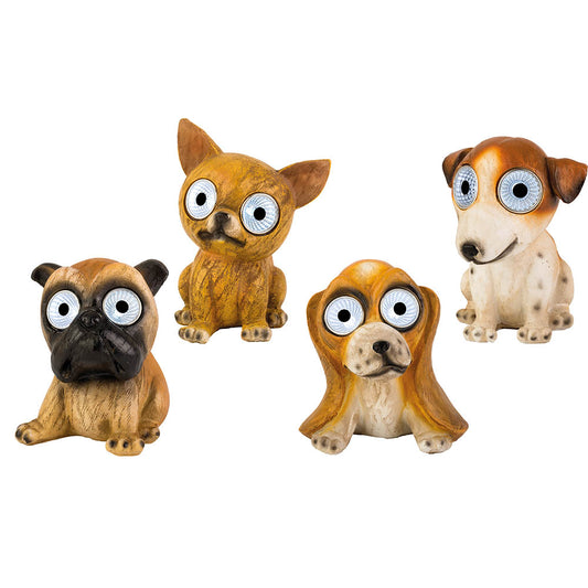 CÃ£o de luz solar, vÃ¡rios modelos_0