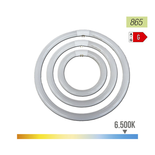 Tubo circular fluorescente 22w Ã¸21cm trifÃ³sforo 6500k luz fria philips_0