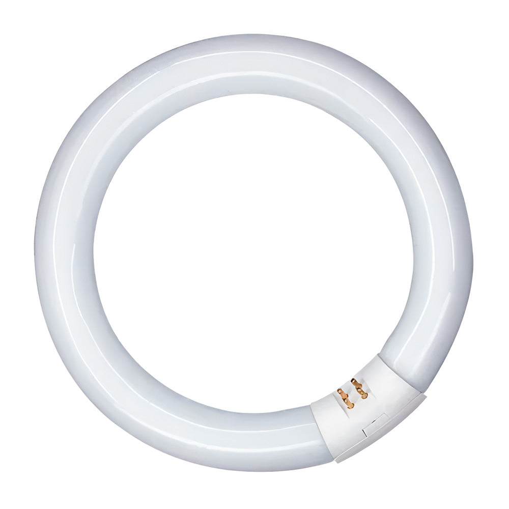 Tubo fluorescente circular 32w, g10q, 6500 k luz fria Ã¸300 mm_0