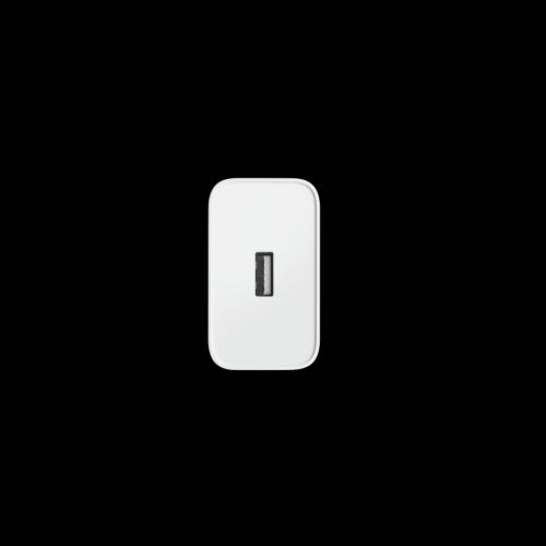 SUPERVOOC 80W POWER ADAPTER_1