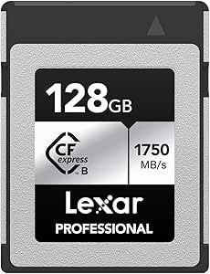 LEXAR 256GB PROFESSIONAL SILVER PLUS SDXC UHS-I CARDS,  UP TO 205MB/S READ 150MB/S WRITE C10 V30 U3_0