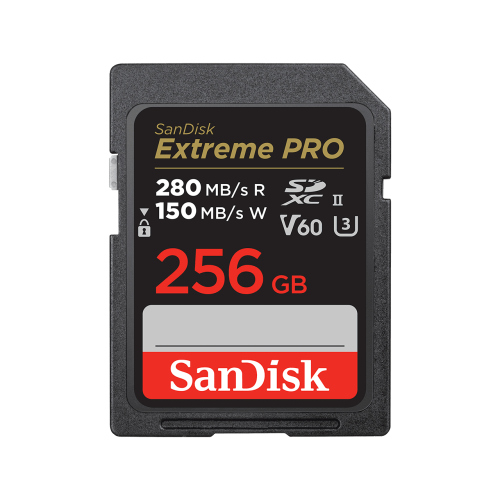 SanDisk SDSDXEP-256G-GN4IN memoria flash 256 GB SDXC UHS-II Clase 10_0