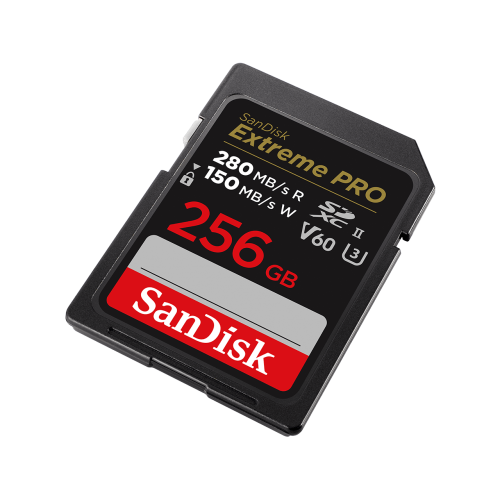 SanDisk SDSDXEP-256G-GN4IN memoria flash 256 GB SDXC UHS-II Clase 10_1