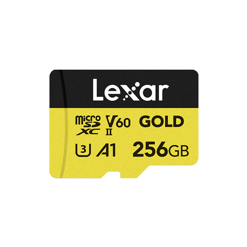 Lexar Professional GOLD 256 GB MicroSDXC UHS-II_0