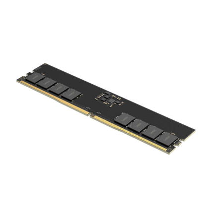 Lexar LD5U32G56C46ST-BGS mÃ³dulo de memoria 32 GB 1 x 32 GB DDR5 5600 MT/s ECC_1