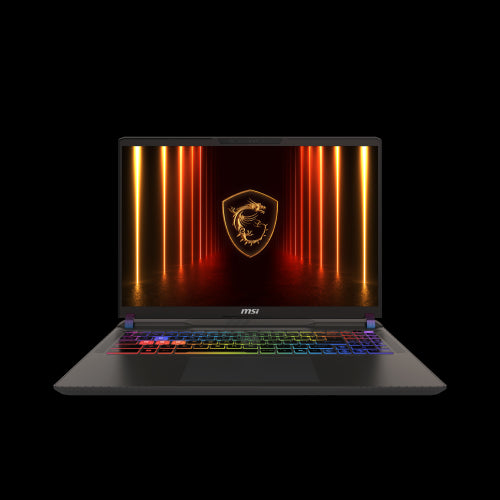 MSI Vector A16 HX A8WHG-050XES AMD Ryzenâ¢ 9 7945HX PortÃ¡til 40,6 cm (16") Full HD+ 32 GB DDR5-SDRAM 1 TB SSD NVIDIA GeForce RTX 5070 Ti Wi-Fi 6E (802.11ax) FreeDOS Gris_0