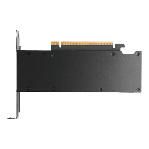 NVIDIA RTX PRO 2000 Blackwell Generation 16GB PB, Grafikkarte_1