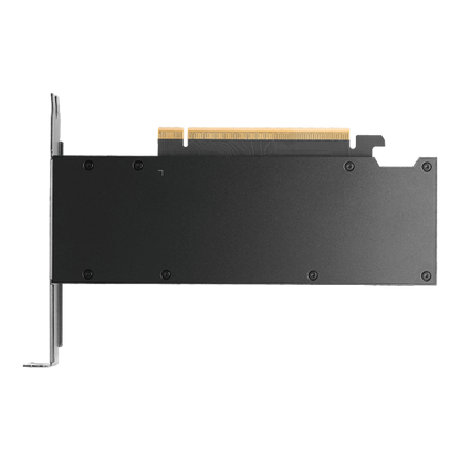 NVIDIA RTX PRO 2000 Blackwell Generation 16GB PB, Grafikkarte_1