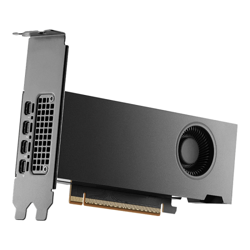 NVIDIA RTX PRO 2000 Blackwell Generation 16GB PB, Grafikkarte_2