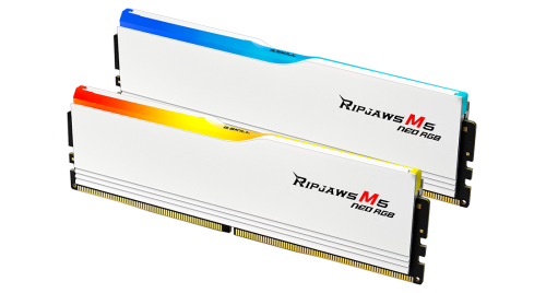 DIMM G.SKILL 32 GB DDR5-6000 Dual-Kit / 2x 16 GB / F5-6000J3636F16GX2-RM5NRW_0