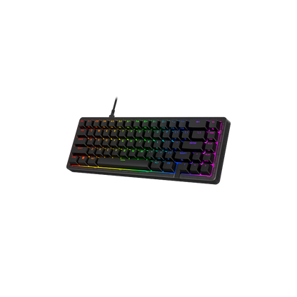 HyperX Origins 2 65_1