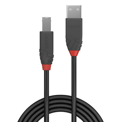 Lindy 36674 cable USB USB 2.0 3 m USB A USB B Negro_2