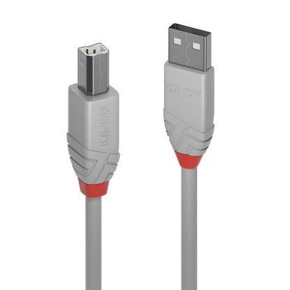 Lindy 36684 cable USB USB 2.0 3 m USB A USB B Gris_0