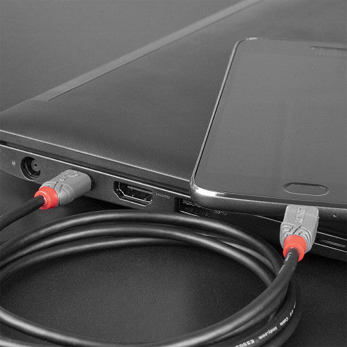 Lindy 36893 cable USB USB 2.0 3 m USB C Micro-USB B Negro_2