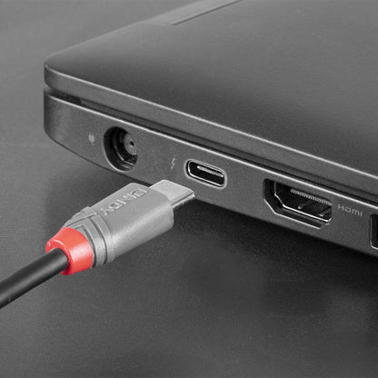 Lindy 36893 cable USB USB 2.0 3 m USB C Micro-USB B Negro_4