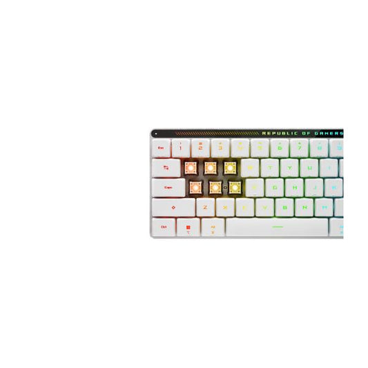 M603 FALCHION RX LP/RLRD/IT (90MP03EC-BKIA10)_0