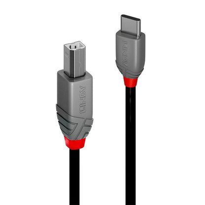 Lindy 36942 cable USB USB 2.0 2 m USB C USB B Negro_0