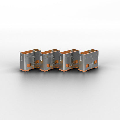 USB Port Schloss LINDY / Preto / 10 Peças / Sem Chave / Proteção contra Roubo / 40463_1