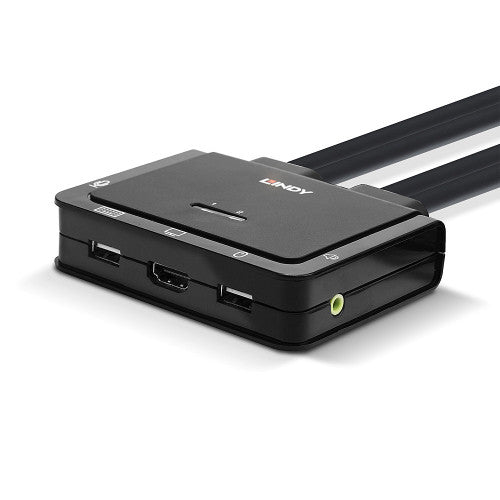 Lindy 42340 interruptor KVM Negro_1