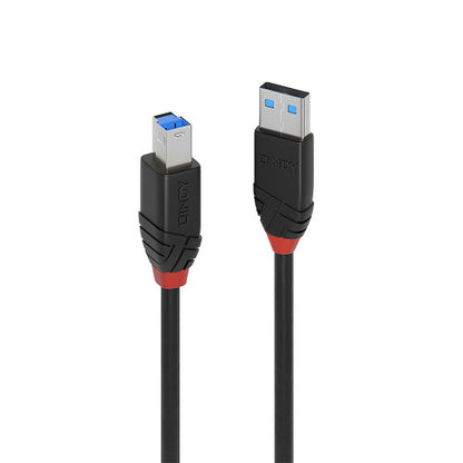 Cabo USB 3.2 Gen 1 LINDY / Preto / 1699773_0