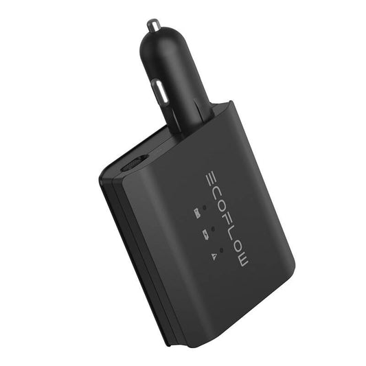 EcoFlow Smart Auto Battery Maintainer_0