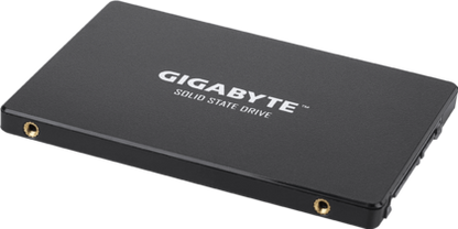 SSD GIGABYTE Gen4 4000E / 250 GB_1
