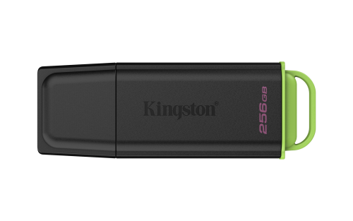 Kingston Technology DataTraveler 256GB PortÃ¡til USB 3.2 Gen 1 Exodia Negro + Verde_0