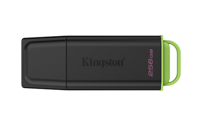 Kingston Technology DataTraveler 256GB PortÃ¡til USB 3.2 Gen 1 Exodia Negro + Verde_0