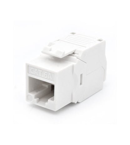 Módulo de Conector de Rede WP WPC-KEY-6AUP-TL/W_0