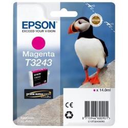 Tinte EPSON Magenta / C13T324340_0