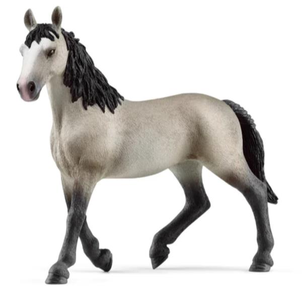 GIUMENTA CHEVAL DE SELLE FRANCAIS_0