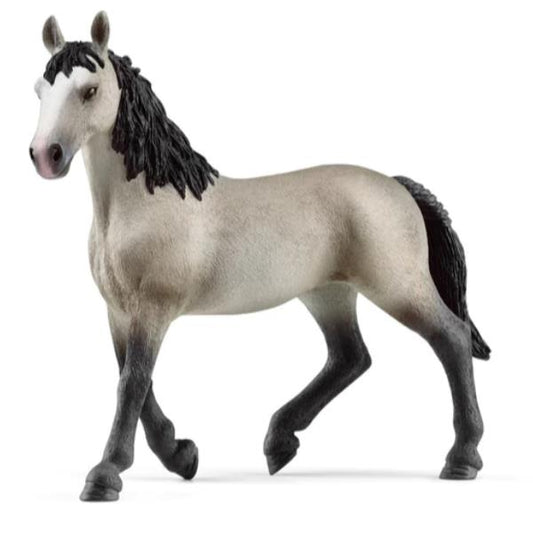 GIUMENTA CHEVAL DE SELLE FRANCAIS_0