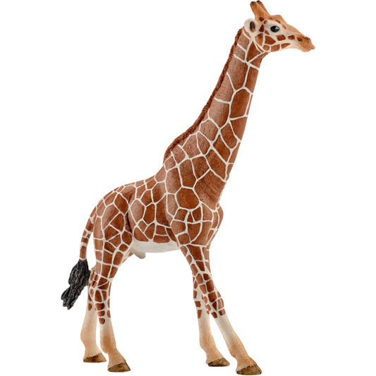 Figura Schleich Girafa Macho 14749 Wildlife