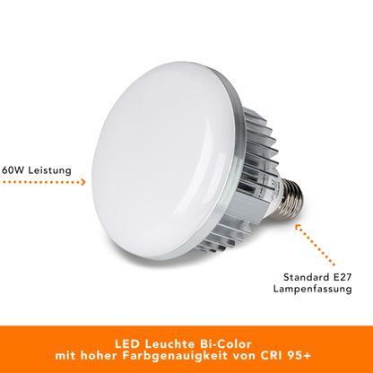Softbox WALIMEX Pro LED 60W 40x60cm Bi color Kit 2