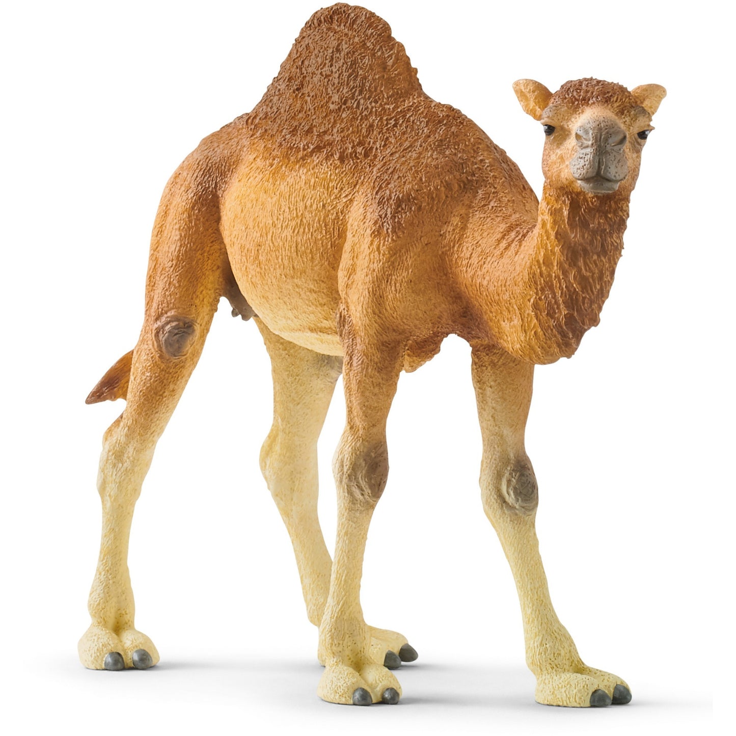 Figura Schleich Wildlife Dromedário 14832