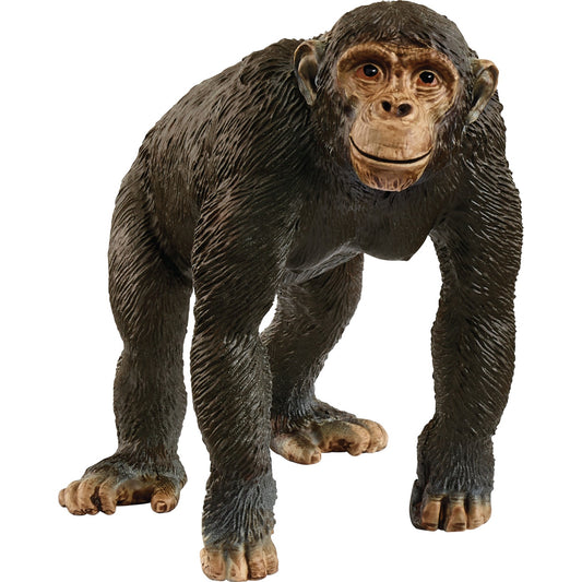 Figura Schleich Chimpanzé 14883 Wildlife