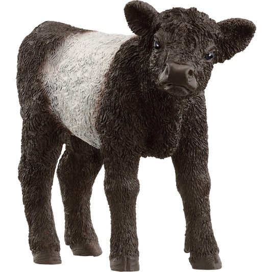 Figura Schleich Farm World Vitelo Galloway 13969