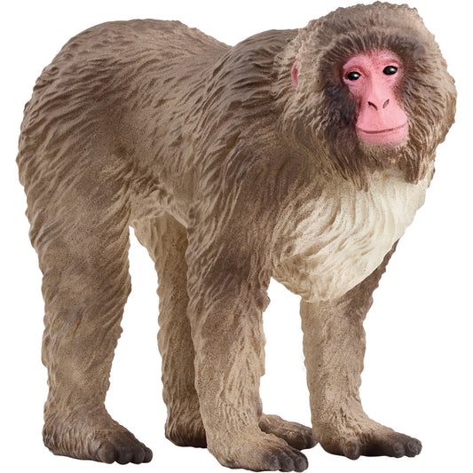 Figura Schleich Macaco Japonês 14871 Wildlife