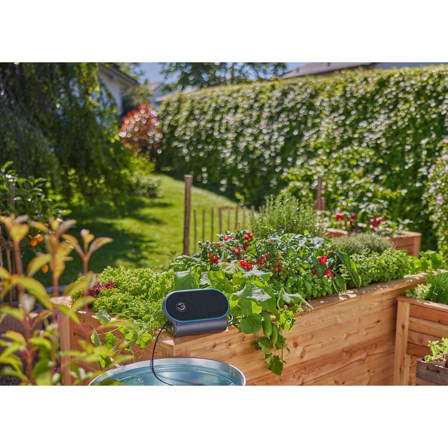 Sistema de Irrigação Solar Gardena AquaBloom L Set 13330-20