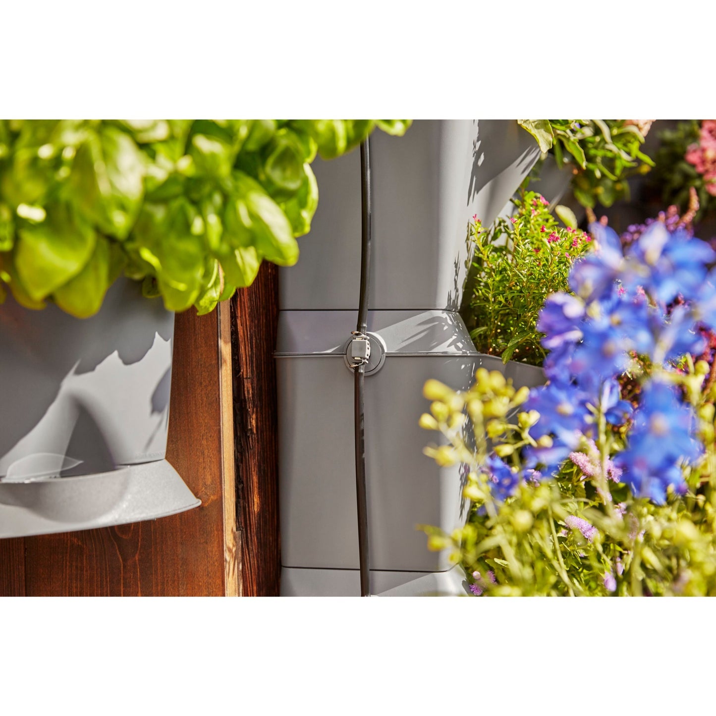 Rega Automática Gardena NatureUp! Torneira de canto: sistema de irrigação até 12 plantas Invisível (13157-20)