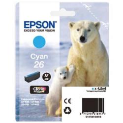ORSO POLARE_0