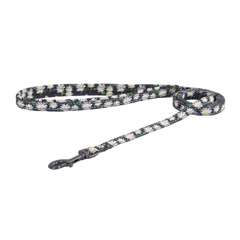 Dog set Dogness harness and leash (Daisy Black)_2