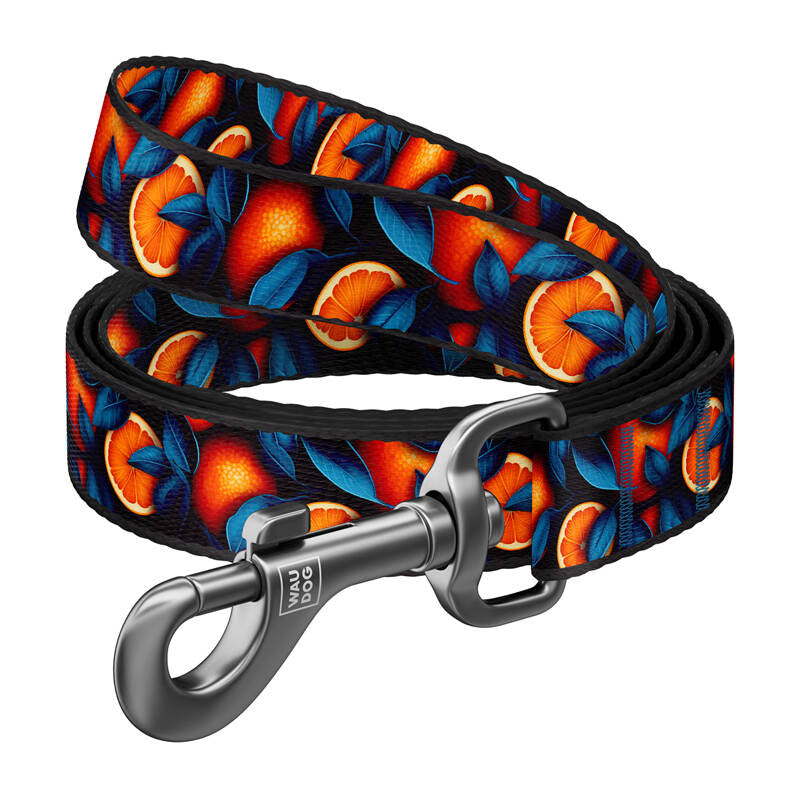 Nylon dog leash, pattern ''Oranges'' length 122 cm Waudog_0