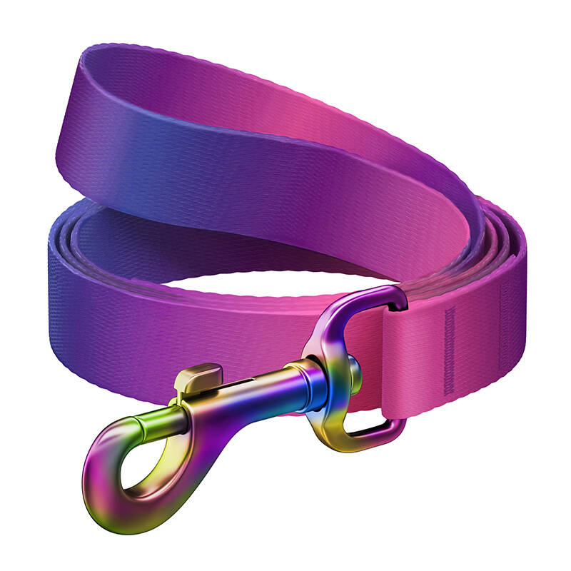 WAUDOG gradient nylon dog leash, 20mm wide, 122cm long, purple_0