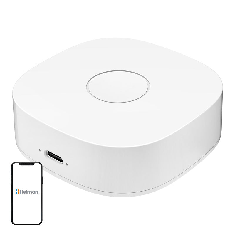 Smart home WS2GW-R WiFi_0